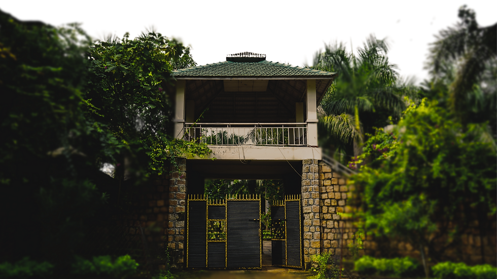 Pench website (6).png