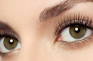 lashLift.jpg