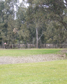 Dunolly Golf Club.png