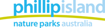 PINP Brand Int CMYK(+).png