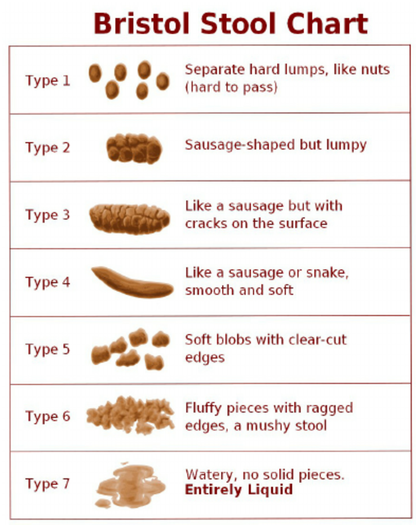 Bristol Stool Chart -Bowel Health