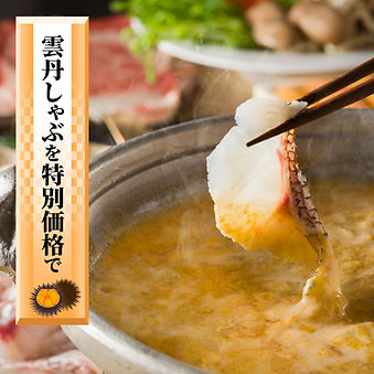 雲丹しゃぶ特別価格でご提供