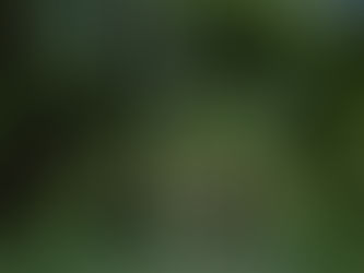 Critique Hair, Paper, Water