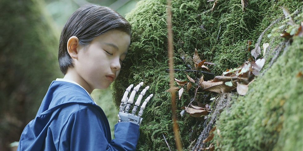 Sheep in the box, de Hirokazu Kore-eda