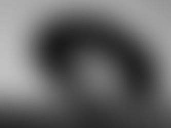 Rencontre pour Rose de Mark Schleinzer