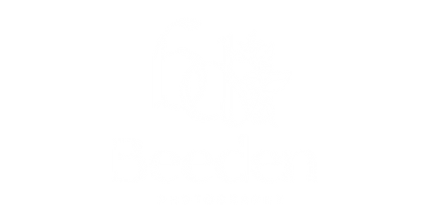 PNG.png