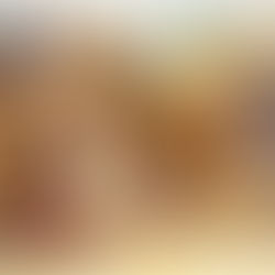 Violencia y Conquista