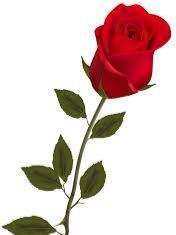 Thumbnail: Rose Flower Stems