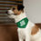 Thumbnail: Pet Bandana Collar -Gluckstadt
