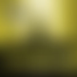 Thorybos-The Foul and the Flagrant