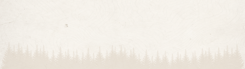 fondo form.png