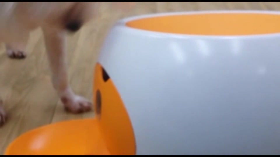Thumbnail: BallReady- Automatic Pet Feeder