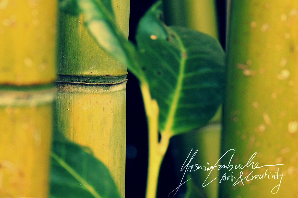 Opatija 20141-008.jpg