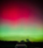 Foto: Susanne Koppenhoefer