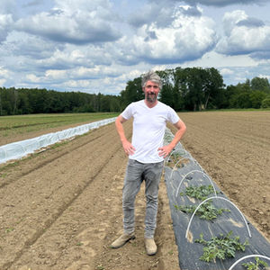 Christoph Klos auf seinem Wassermelonen-Acker in Bollersen