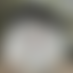 Brandstiftung im Französischen Garten: Toilette nach Feuer außer Betrieb