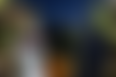 Grusel Horror Maislabyrinth Reddingen Heidekreis Hof Becker Christoph Becker, Halloween, Herbst Horrorevent, Horrorclown