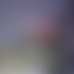 Feuer in Eicklinger Recyclinganlage– Anwohner sollen Fenster geschlossen halten