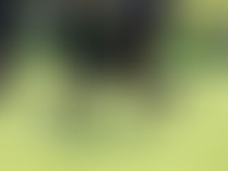 Fußballspieler in Aktion