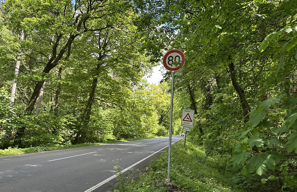 Waldgebiet Sprache an der L 282 Richtung Lachendorf