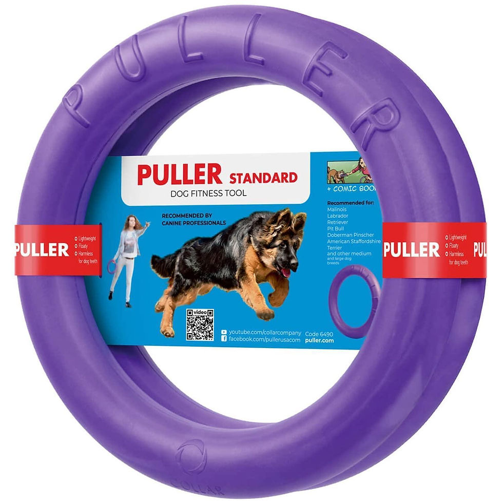 Thumbnail: Puller Outdoor Dog Ring Toys Dog Fetch for Large Dogs Standard Size 2 Rings