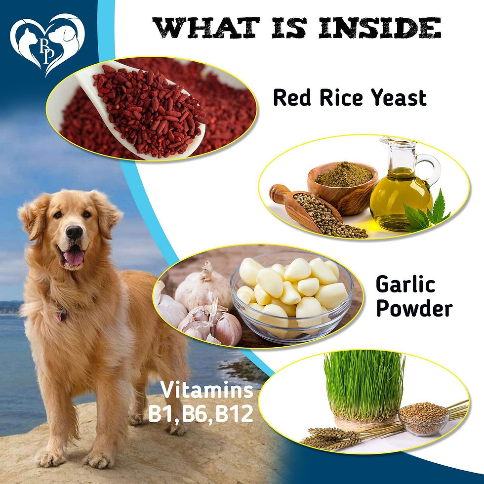 Thumbnail: Insects Prevention Chewable Pills for Dogs and Cats Chewables Small Tablets