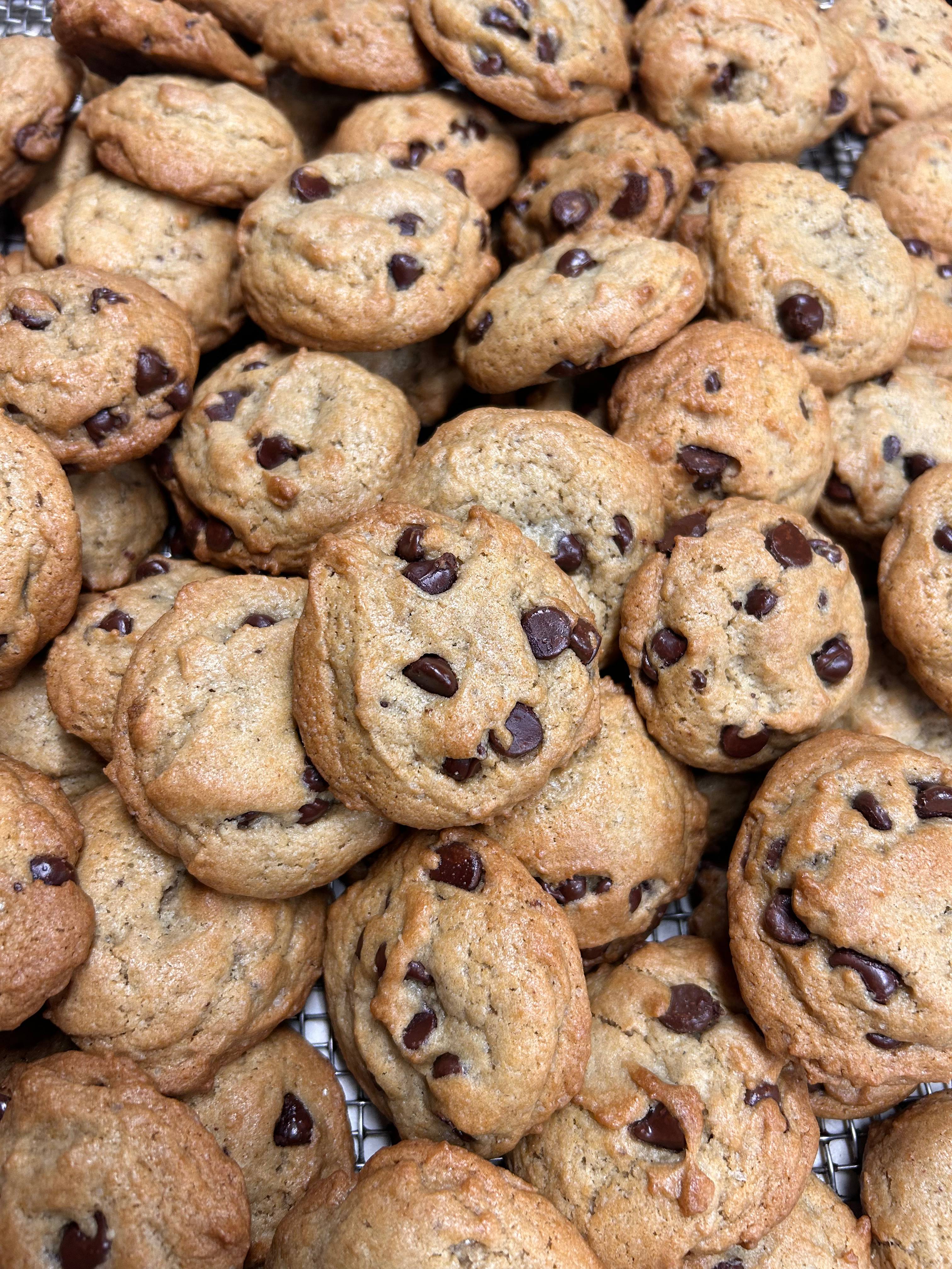 Chocolate Chip Cookies