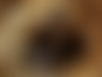 10/18赤ちゃん産まれています