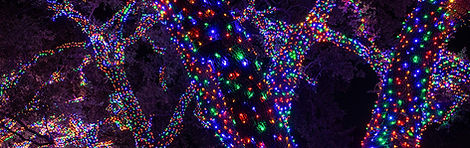 Tree wrapped with multicolor Christmas lights by Southeast Lights holiday lighting service in Petal MS