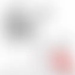 Snowy Owl visits Central Park!