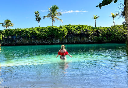 PJT All Inclusive.jpeg