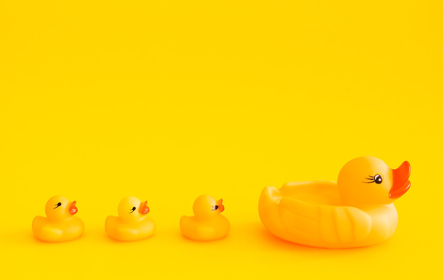 iStock-1145223484.jpg