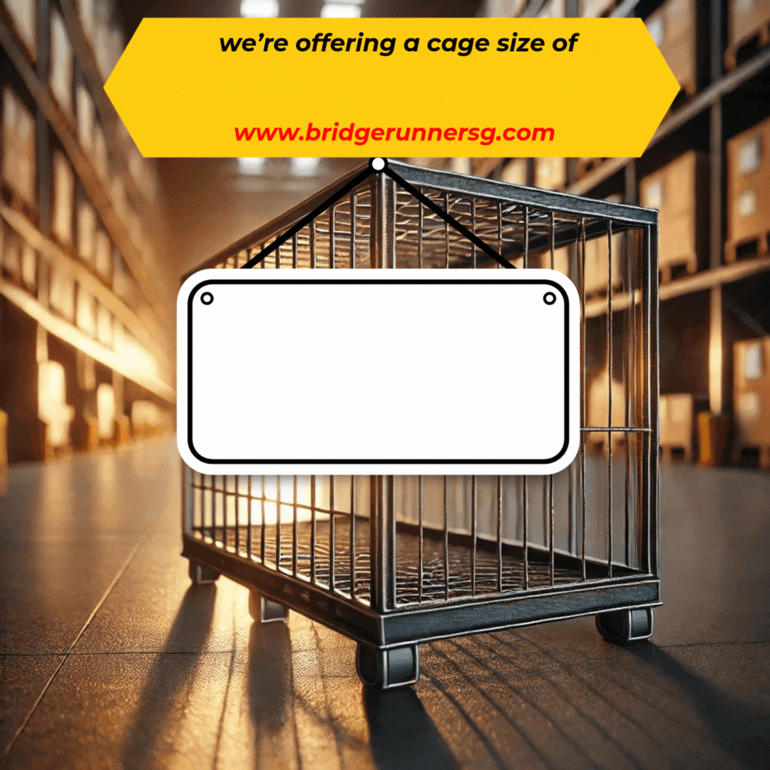 Save on Singapore-Malaysia courier costs with Bridgerunner’s Fill All U Can Cage - Affordable shipping solution from JB to Singapore