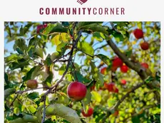 September 2024 - Community Update