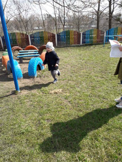 IMG-43523d530cfeaca9505bf7453886be38-V