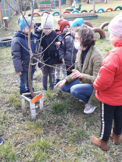 IMG-8a9cbceef57f2f6d4e3aeedc58c2d94a-V