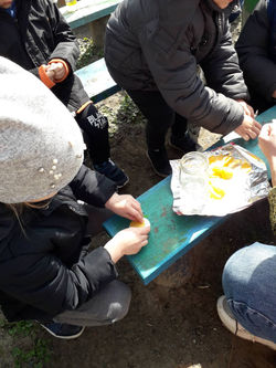 IMG-4ea52f46e8e42cf2309c73760e16208a-V