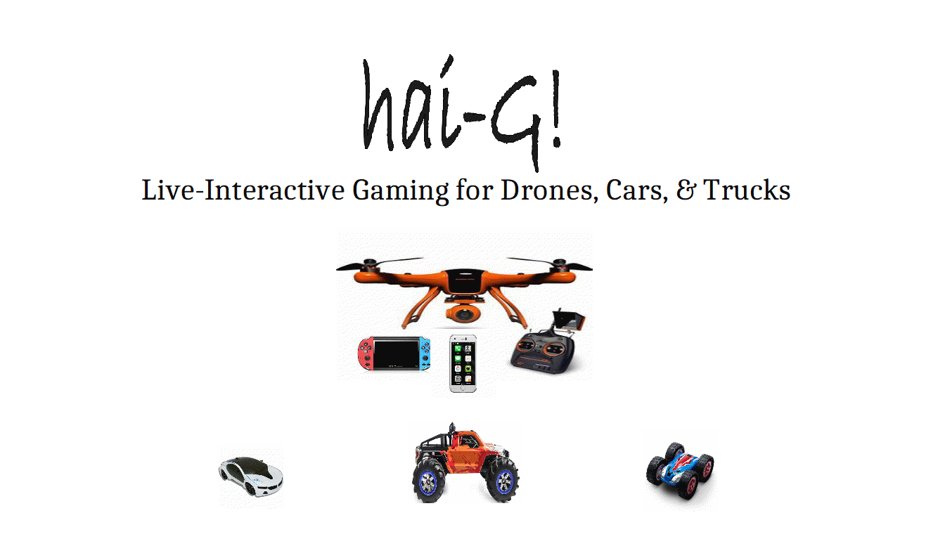 HaiG Web Demo Homepage.gif