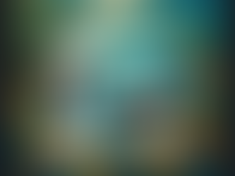 如何参加 Science without Borders® 艺术竞赛