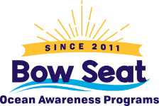 Expressing Ocean Awareness: How Halifax Art Studio Supports Students in the Bow Seat Ocean Awareness Contest