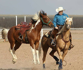 Sermon on the Mount, Horsemanship, leadership training, motivational speaker, counselor