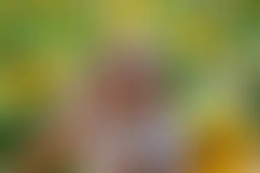 Does Honey Help With Allergies?