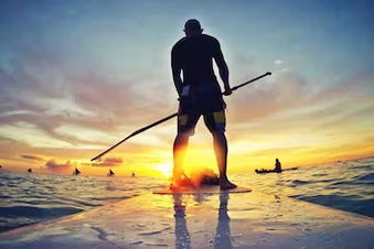 Paddle Board Rentals