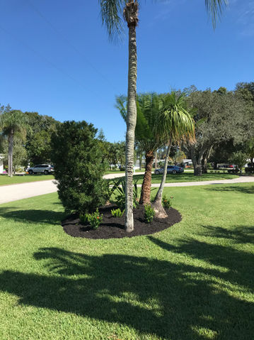 Vargas Landscaping & Sod, Sarasota Sod Specialists Since 2005, Weekly Lawn Maintenance, Tree Trimming, Landscape Design, Irrigation Repairs and much more!