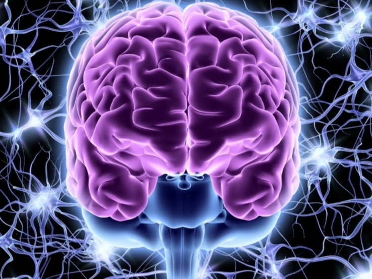 Neurological Foundations of Acupuncture Therapy 