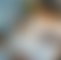 Elevate Your Brand with Professional Graphic Design Services