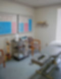 Professional Physical Therapy