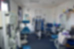 Professional Physical Therapy