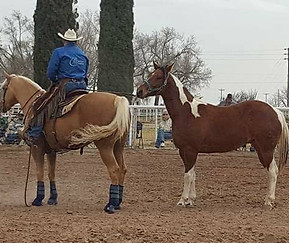 Sermon on the Mount, Horsemanship, leadership training, motivational speaker, counselor
