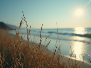 Choosing the Perfect Graphic Design Company for Your Needs
